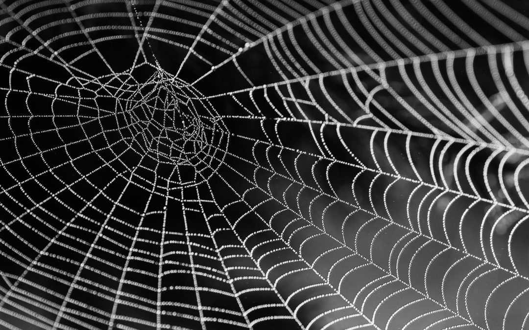 Digital Forensics and the Deep Dark Web